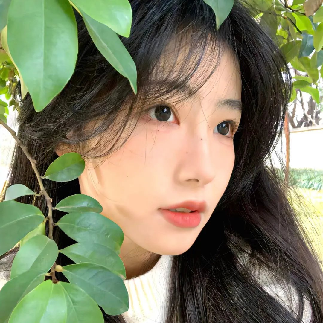 环球片单